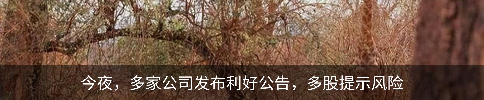 热点资讯